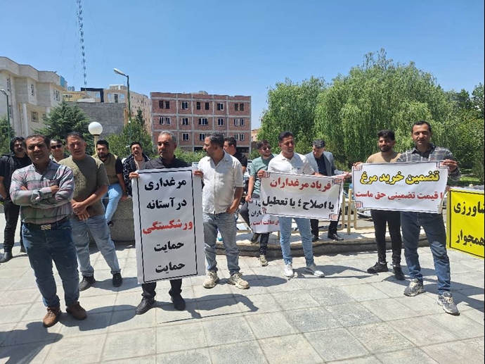 اردبیل – تجمع مرغداران مقابل جهاد کشاورزی – ۱۸ خرداد ۱۴۰۴