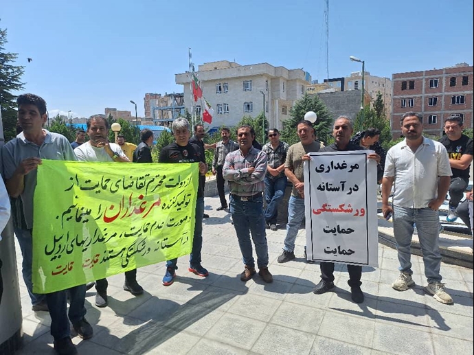 اردبیل – تجمع مرغداران مقابل جهاد کشاورزی – ۱۸ خرداد ۱۴۰۴