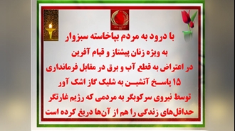 ۱۵ پاسـخ آتشیـن به شلیک گاز اشک‌آور توسط نیروی سرکوبگر به مردم