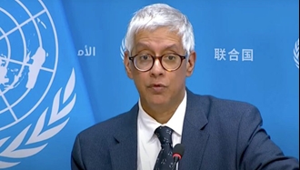 فرحان حق، معاون سخنگوی دبیرکل