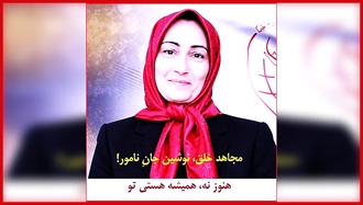 مجاهد صدیق نوشین نامور