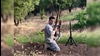 اعدام زندانی قیام یاوش جمشیدی 