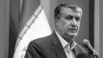 پاسدار اسلامی رئیس سازمان انرژی اتمی