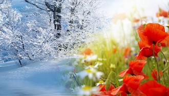 بهار مقاومت؛ شکوفایی سرخ‌فام در متن استبداد