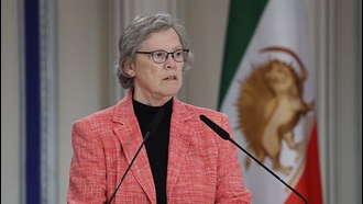 پروفسور دانا هیوز