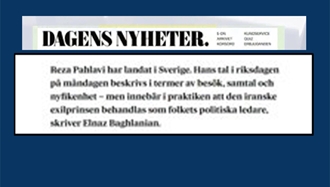 داگنز نی هتر