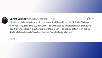 ایکس سخنگوی سیاست خارجی فراکسیون حزب چپ در مجلس فدرال آلمان 