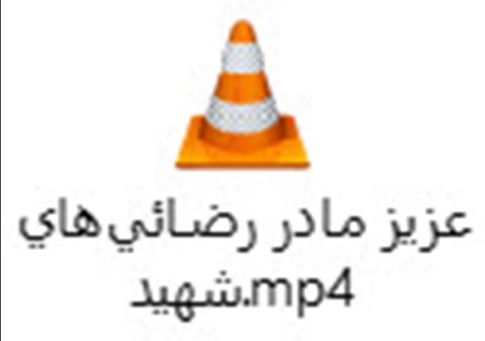 عزیز مادر رضایی‌های شهید