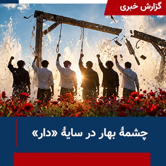 چشمه بهار در سایه دار