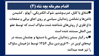 اقدام مجرمانه بچه شاه (۴) 