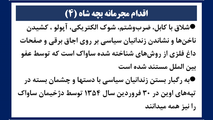 اقدام مجرمانه بچه شاه (۴) 