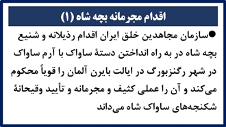 اقدام مجرمانه بچه شاه (۱) 