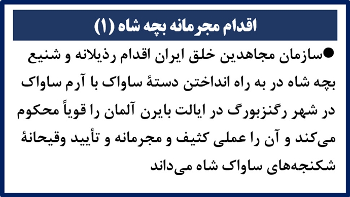 اقدام مجرمانه بچه شاه (۱) 