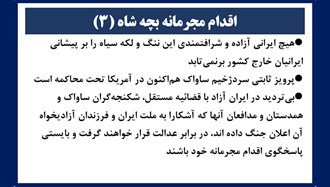 اقدام مجرمانه بچه شاه (۳) 