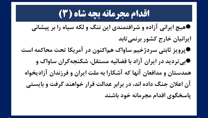 اقدام مجرمانه بچه شاه (۳) 