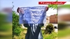 پراتیک جوانان شورشگر در زاهدان