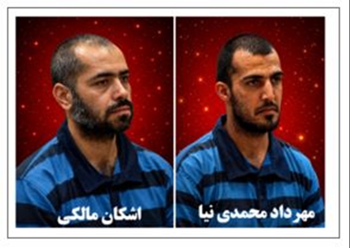 مهرداد محمدی‌نیا و اشکال مالکی