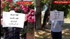  فعالیت‌های جوانان شورشگر در سنندج و رودسر