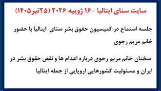 سایت سنای ایتالیا - جلسه استماع در کمیسیون حقوق‌بشر سنای ایتالیا