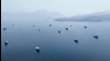 تنگه هرمز
