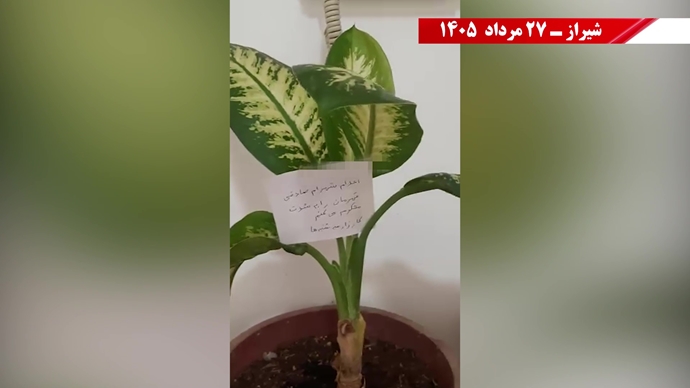 پراتیک جوانان شورشگر در کارزار «سهشنبههای نه به اعدام» پراتیک جوانان شورشگر در کارزار «سهشنبههای نه به اعدام»