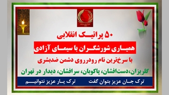 ۵۰ پراتیک انقلابی