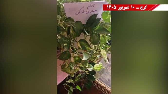 پراتیک جوانان شورشگر در کارزار سهشنبههای نه به اعدام در هفته صد و سی و ششم پراتیک جوانان شورشگر در کارزار سهشنبههای نه به اعدام در هفته صد و سی و ششم