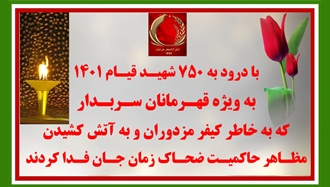 تصویرنگاری و ۳۰ پراتیک انقلابی 