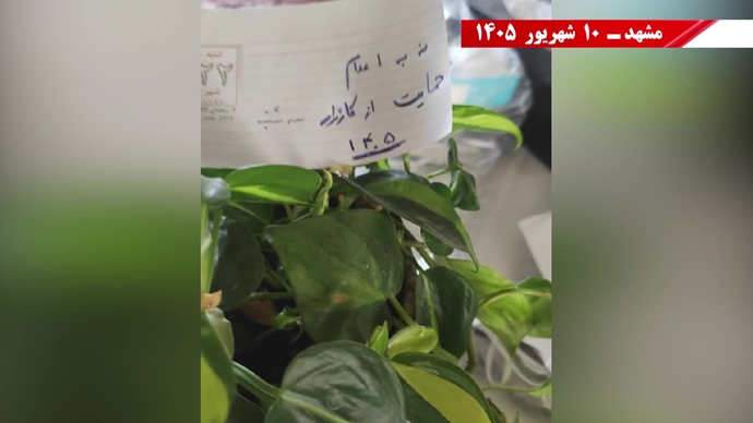 پراتیک جوانان شورشگر در کارزار سهشنبههای نه به اعدام در هفته صد و سی و ششم پراتیک جوانان شورشگر در کارزار سهشنبههای نه به اعدام در هفته صد و سی و ششم